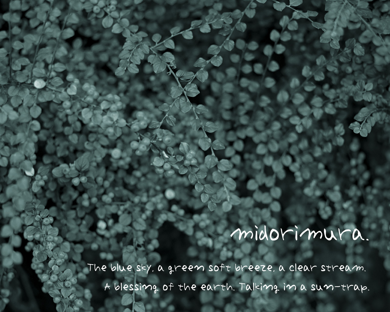 midorimura.GREEN_1280~1024